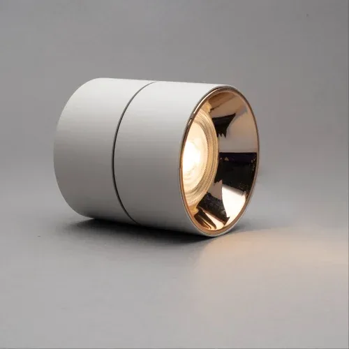 Surface mounted light